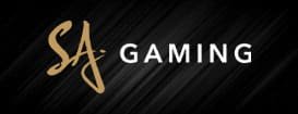 ฝาก10รับ100-sa gaming