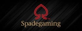 ฝาก10รับ100-spadegaming